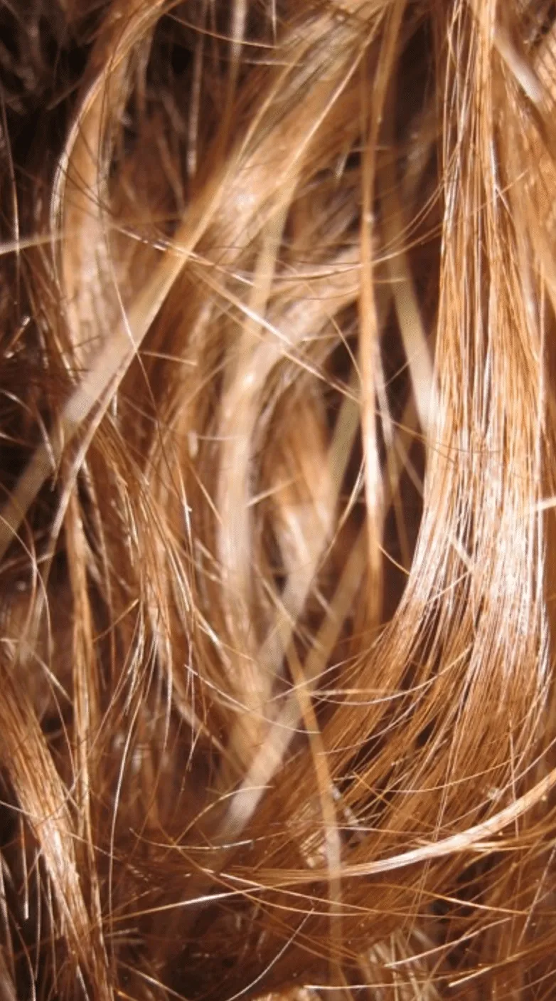 foto di capelli