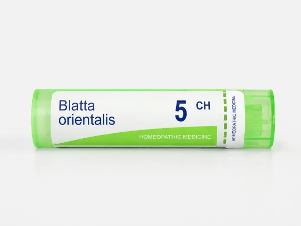 blatta orientalis omeopatia