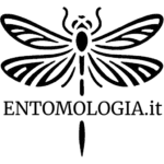 Logo Entomologia.it