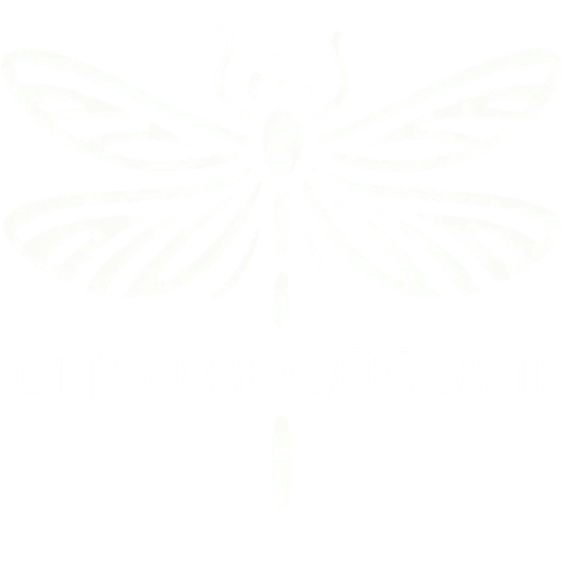 Logo Entomologia.it